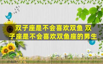 双子座是不会喜欢双鱼 双子座是不会喜欢双鱼座的男生